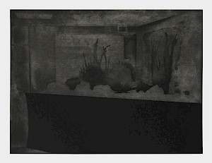 Aquatinte sur Hanhemühle 300g. Impression jet d’encre sur aquatinte - mordue dans l’acide.
Plaque : 30 x 40 cm environ. Papier : 34 x 44 cm.
Imprimé par Laureline Lê. 2016-2017