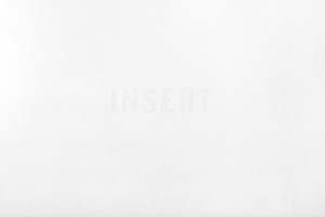 Insert
Image 40 cm x 60 cm, Papier 70 cm x 90 cm,
Aérographe, 2014