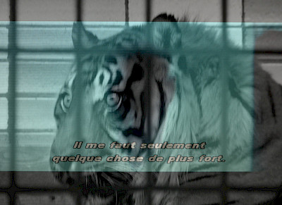Stereo / Tigre-Thx I
60 cm x 80 cm - Epreuve numérique pigmentaire, 2009