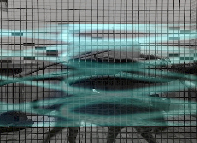 Stereo / Tigre-Thx III
60 cm x 80 cm - Epreuve numérique pigmentaire, 2009